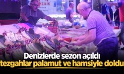 Denizlerde sezon açıldı, tezgahlar palamut ve hamsiyle doldu