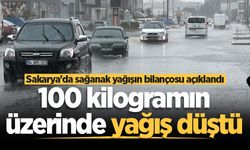 Sakarya'da sağanak yağışın bilançosu açıklandı: Metrekareye 100 kilogramın üzerinde yağış düştü