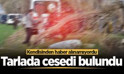 Akyazı'da kendisinden haber alınamayan esnaf tarlada ölü bulundu