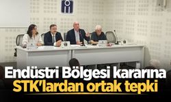 Sakarya'da Endüstri Bölgesi kararına STK'lardan ortak tepki: Eylem planı belirlenecek