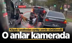 Köpek tarafından ısırılıp yerde sürüklendi! O anlar kamerada