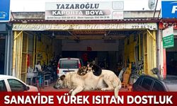 Sanayi sitesinde yürek ısıtan dostluk