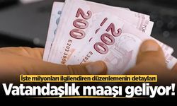 Vatandaşlık maaşı geliyor! İşte milyonları ilgilendiren düzenlemenin detayları