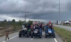 Kocaali'de fındık üreticileri ikinci kez eylem yapacak