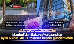 İstanbul'dan Sakarya'ya taşınan ailenin aylık tasarruf hesabı sosyal medyada gündem oldu