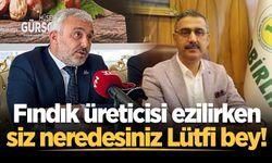 Fındık üreticisi ezilirken siz neredesiniz Lütfi bey!