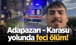 Adapazarı-Karasu yolunda feci kaza: Aydınlatma direğine çarpan araçtaki genç hayatını kaybetti
