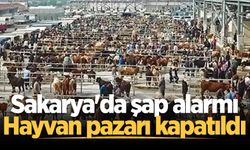 Sakarya Hayvan pazarı şap hastalığı nedeniyle kapatıldı