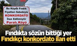 Fındıkta sözün bittiği yer: Fındıkçı konkordato ilan etti