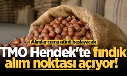 TMO Hendek'te fındık alım noktası açıyor! Alımlar cuma günü başlayacak