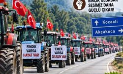 Fındık üreticisi isyanda! Traktörleriyle buluşacaklar