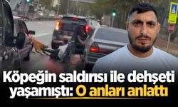 Köpeğin saldırısı ile dehşeti yaşamıştı: O anları anlattı