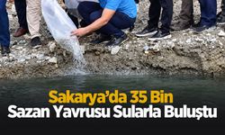 Sakarya’da 35 bin sazan yavrusu sularla buluştu