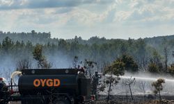 Sakarya OYGD gönüllüleri Bursa'daki yangına müdahale etti