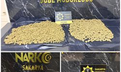 Sakarya'da 'sokaklar güvende' operasyonu: 3 tutuklama