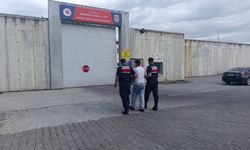 Jandarmadan üç ilçede operasyon: 4 tutuklama