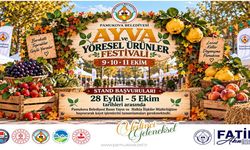 Pamukova'da festival heyecanı başlıyor
