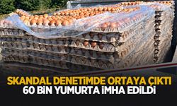 Skandal! 60 bin yumurta imha edildi
