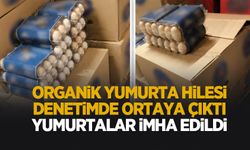 Yumurtada hile! Binlercesi imha edildi