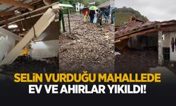 Sel deprem gibi yıkıma neden oldu: Bir mahallede ev ve ahırlar yıkıldı