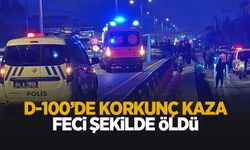 D-100’de korkunç kaza! Kadın hayatını kaybetti