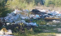 Sakarya Nehri kıyısından 1 günde 1 römork atık toplandı