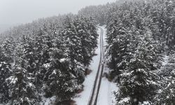 Bolu'nun yüksek kesimlerinde lapa lapa kar