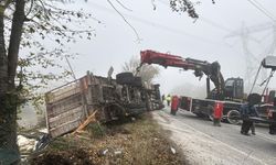 Bolu'da virajı alamayan kamyon devrildi: Onlarca tavuk telef oldu