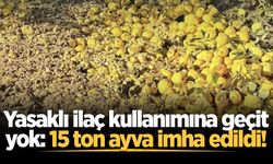 Yasaklı ilaç kullanımına geçit yok: 15 ton ayva imha edildi!