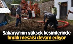 Sakarya'nın yüksek kesimlerinde fındık mesaisi devam ediyor