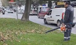 Büyükşehir'den sonbahar temizliği