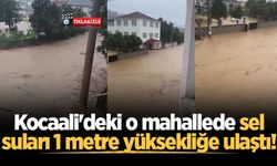 Kocaali'deki o mahallede sel suları 1 metre yüksekliğe ulaştı!