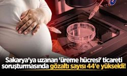 Sakarya'ya uzanan 'üreme hücresi' ticareti soruşturmasında gözaltı sayısı 44'e yükseldi!
