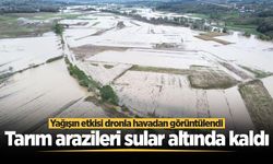 Kaynarca'da su altında kalan tarım arazileri havadan görüntülendi