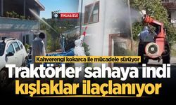 Sakarya’da kahverengi kokarca ile mücadele sürüyor: Traktörler sahaya indi, kışlaklar ilaçlanıyor