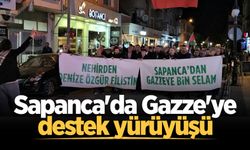 Sapanca'da Gazze'ye destek yürüyüşü