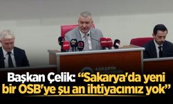 Başkan Osman Çelik: “Sakarya'da yeni bir OSB'ye şu an ihtiyacımız yok”