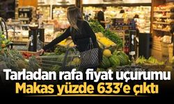 TZOB: Geçen ay limonun üretici ile market arasındaki fiyat farkı yüzde 633 oldu