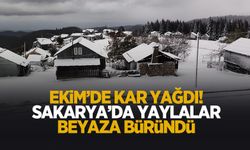 Mevsimin ilk karı düştü! Sakarya'da yaylalar beyaza büründü