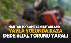 Yayla yolunda kaza: Dede öldü, torunu yaralı