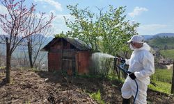 Kahverengi kokarcaya karşı güç birliği