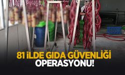 Sahte ve tağşişli gıdalara büyük darbe