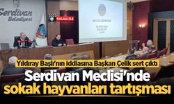 Serdivan Meclisi'nde sokak hayvanları tartışması: Yıldıray Başlı'nın iddiasına Başkan Çelik sert çıktı