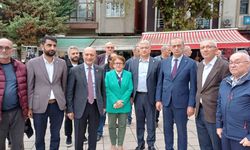 DEVA Partisi İl Başkanı Başnuh'tan fındık tepkisi