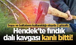 Hendek'te fındık dalı kavgası kanlı bitti! Sopa ve baltaların kullanıldığı olayda 2 gözaltı
