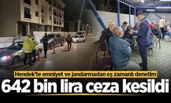 Hendek'te emniyet ve jandarmadan eş zamanlı denetim: 642 bin lira ceza kesildi