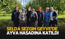 Selda Sezgin Geyve'de ayva hasadına katıldı!