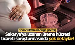 Sakarya'ya uzanan üreme hücresi ticareti soruşturmasında şok detaylar!