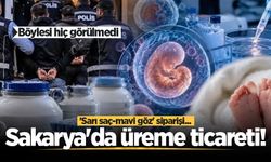 Böylesi hiç görülmedi: Sakarya'da üreme ticareti! 'Sarı saç-mavi göz' siparişi...