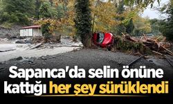 Sapanca'da selin önüne kattığı her şey sürüklendi